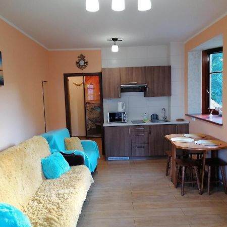 Apartamenty Sun & Snow Willa Hania - Blisko Plazy I Centrum Криниця-Морська Екстер'єр фото